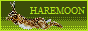 hm2.png
