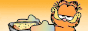 funnyOrangeCatButton.gif