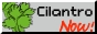 cilantronow_button.jpg