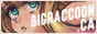 button-bigraccoon.ca.png
