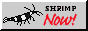 bigblackcrystalm.png