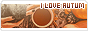 archived 88x31 button #62599
