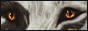 archived 88x31 button #62639