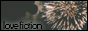 archived 88x31 button #62790