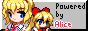 alice.gif