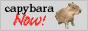 unnamed%20(3).png