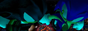 sa2.png