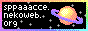 sppaaaccenekoweborg001.png