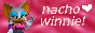 nachowinnie.png