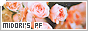 archived 88x31 button #63074