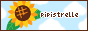 pipistrelle-banner3.gif