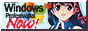 B_windowsprof.png