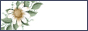 88x31button.jpg