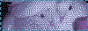 TW13.2.gif