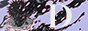 archived 88x31 button #63407