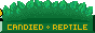 candiedreptile.gif