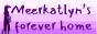 Meerkatlyns_button.png