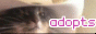 adoptsbutton.gif