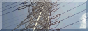 TC_transmission_tower_button.png