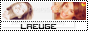 archived 88x31 button #63807