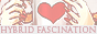 archived 88x31 button #63860