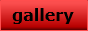 gallery.png