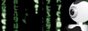 88_31_02.gif