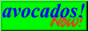 aliceinavocadoland_4.png