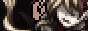 naico.png