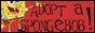 rmsoko_adopt.jpg