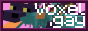 Voxeldotgay2.png