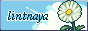 button.png