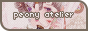 peony.png