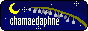 n-ch-a.png