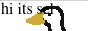 sels-birds.png