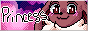 n-pt.png