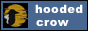 hoodedcrow.png
