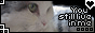 archived 88x31 button #64574