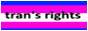 trans.jpg