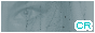 bu0727.gif