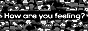 howareyoufeeling.gif