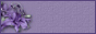 88x31button.jpg