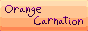 orange_carnation_button_ANIMATED.gif
