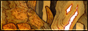 Button_Torch.gif