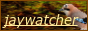 button.png