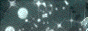 archived 88x31 button #16568