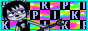 pikvisor.png