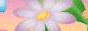 button003.gif