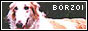 88x31_b3.jpg