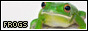 frogs.jpg